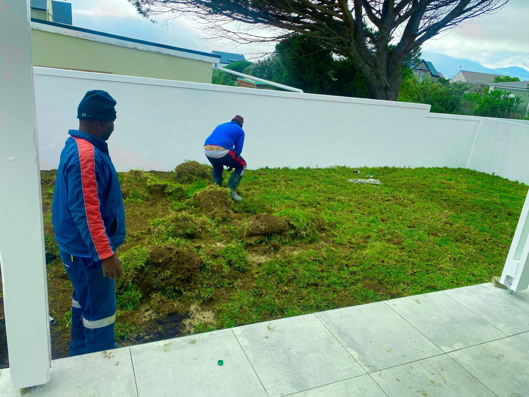 Landscaping & Lawns